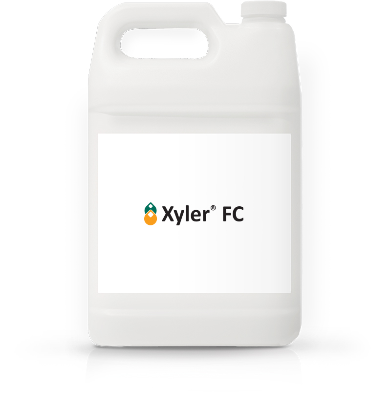 Product Packaging