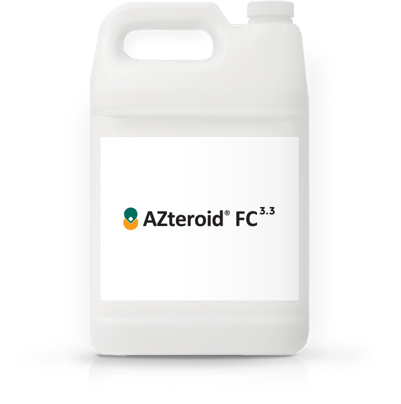 Product Packaging